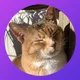 Gegy's avatar